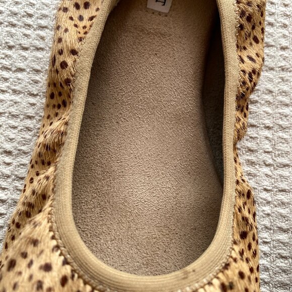 EUC~Chelsea & Violet 'Ruby' Leopard Calf Hair Ballet Flat~8 - Picture 14 of 15